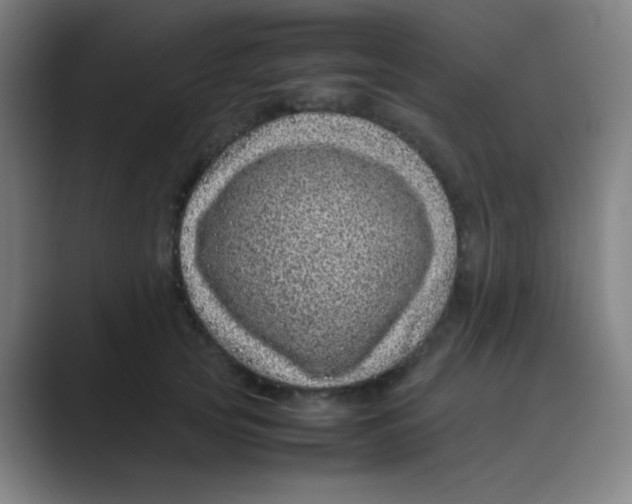 X0000088700753200706282023