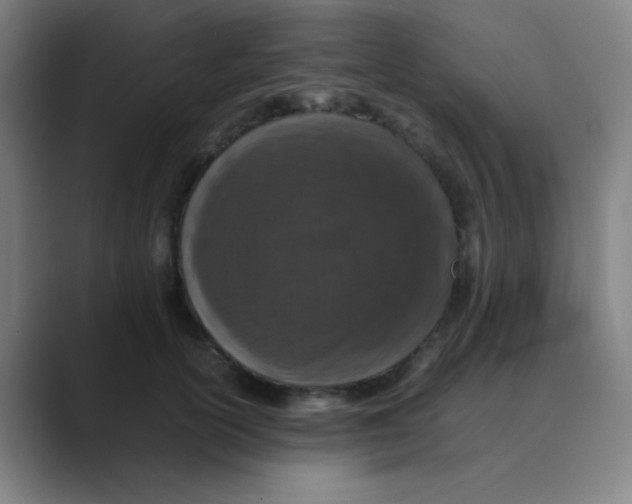 X0000088700754200706282023