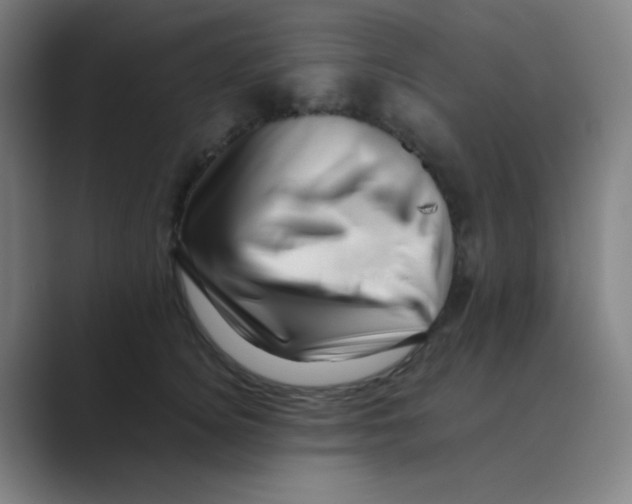 X0000088700756200706282023