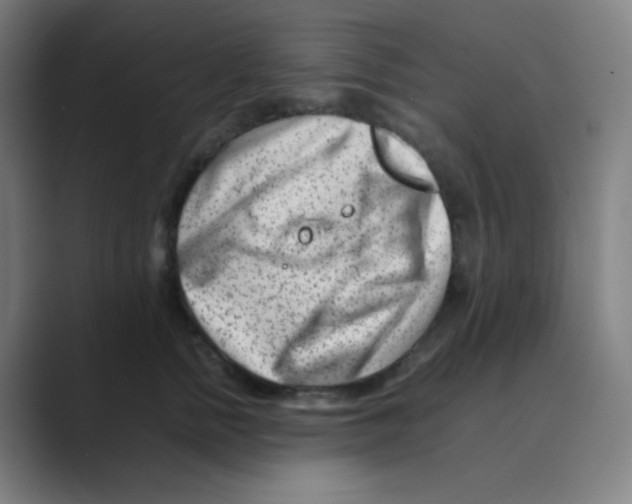 X0000088700758200706282023