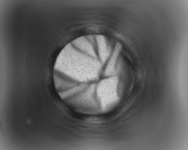 X0000088700759200706282023