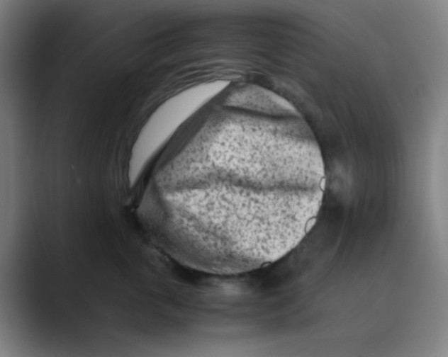 X0000088700763200706282023