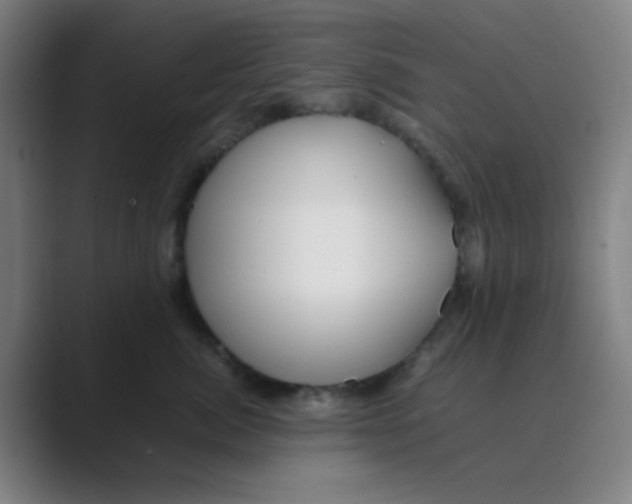 X0000088700764200706282023