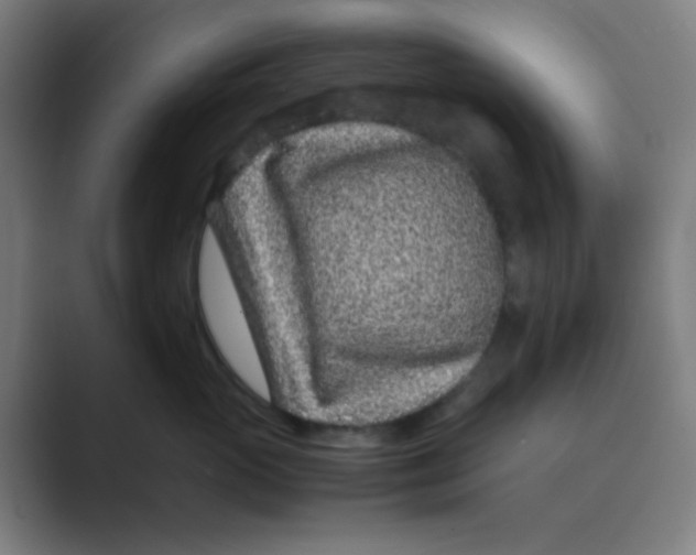 X0000088700765200706282023