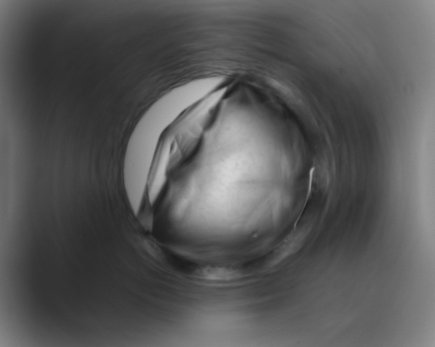 X0000088700766200706282023