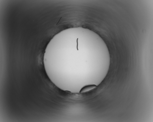 X0000088700768200706282023