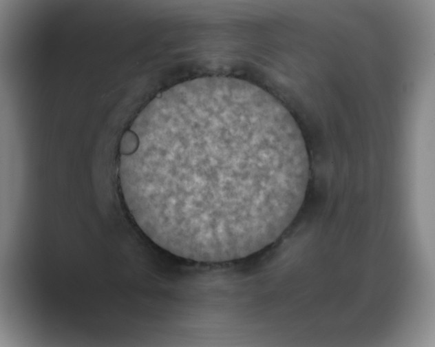 X0000088700769200706282022