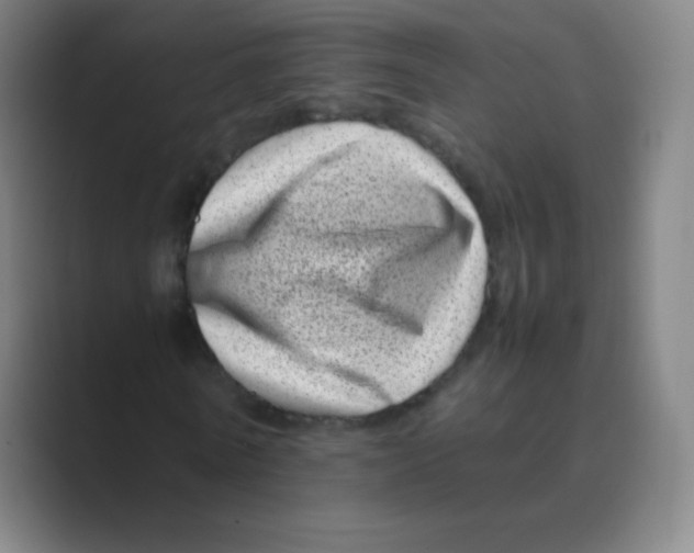 X0000088700770200706282022