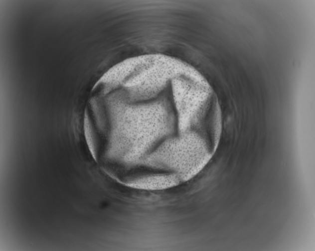 X0000088700772200706282022