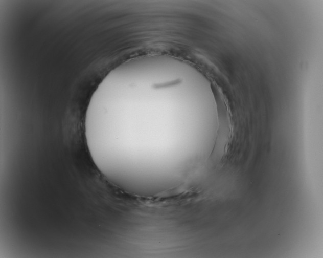 X0000088700773200706282022