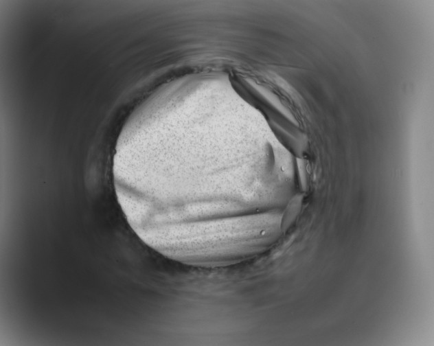 X0000088700775200706282022