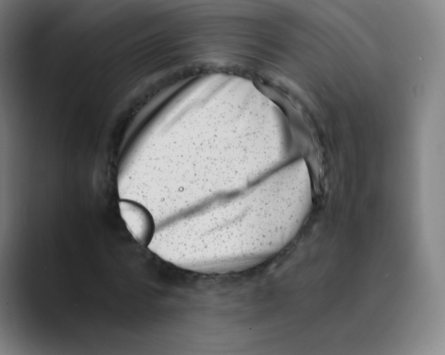 X0000088700776200706282022