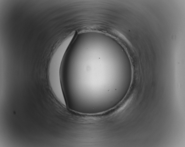 X0000088700777200706282022