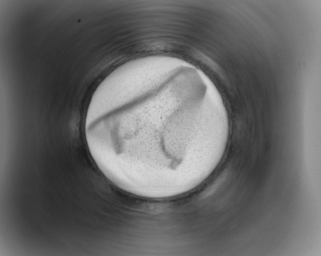 X0000088700778200706282022