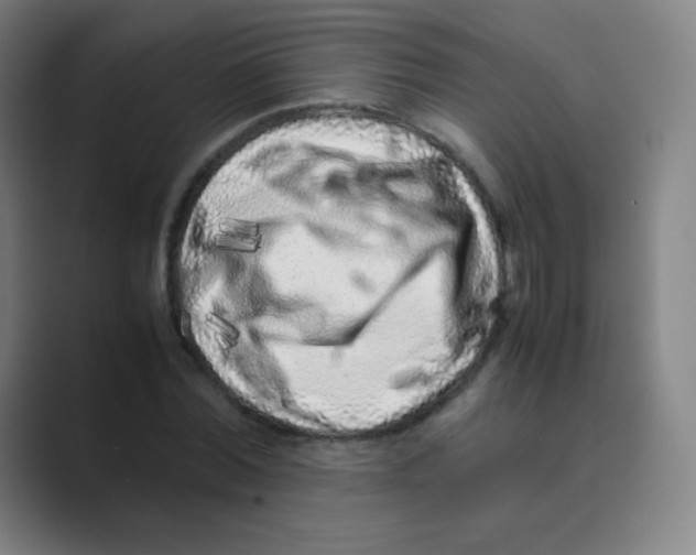 X0000088700780200706282022