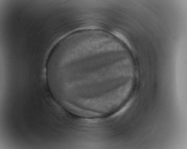 X0000088700781200706282022