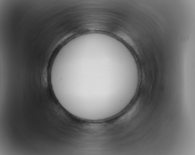 X0000088700782200706282022