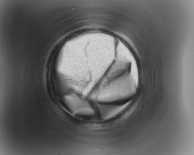 X0000088700783200706282022