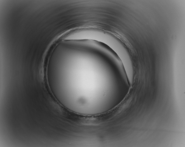 X0000088700784200706282022