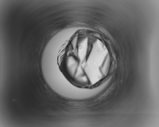 X0000088700785200706282022