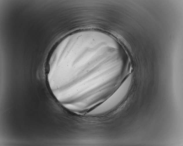 X0000088700789200706282022