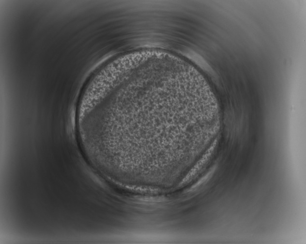 X0000088700790200706282022