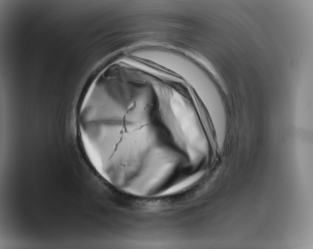 X0000088700791200706282022