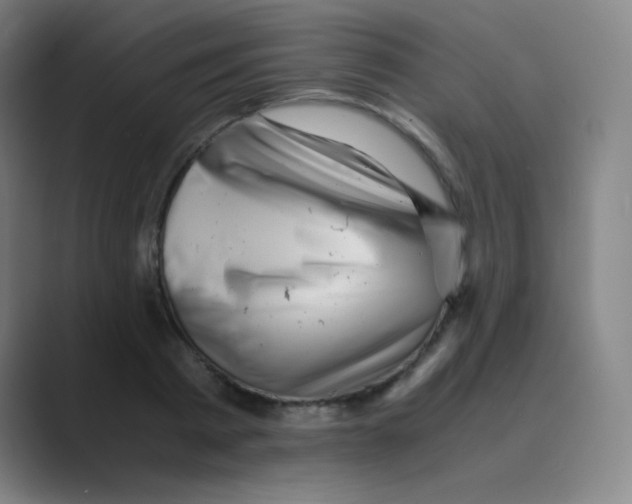 X0000088700793200706282022