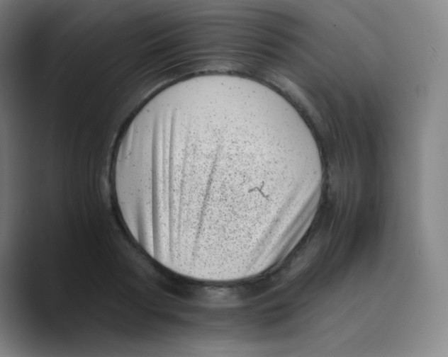 X0000088700794200706282022