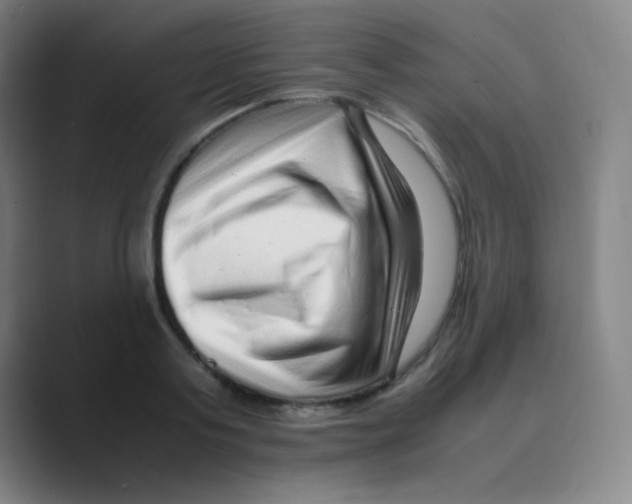 X0000088700795200706282022