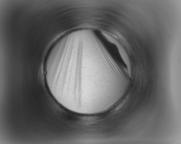 X0000088700796200706282022