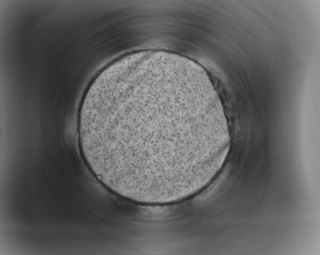 X0000088700800200706282022