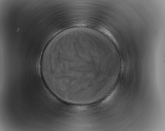 X0000088700802200706282022