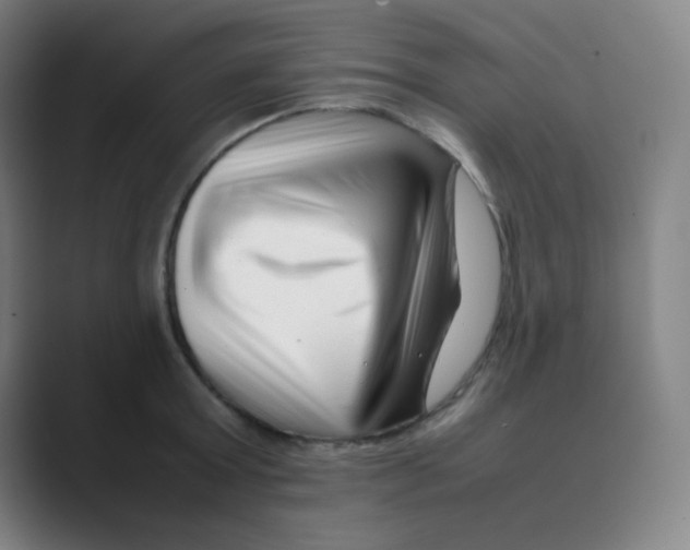 X0000088700803200706282022