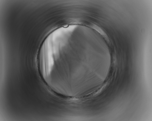 X0000088700806200706282022