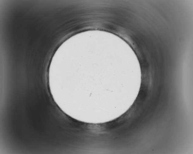 X0000088700807200706282022