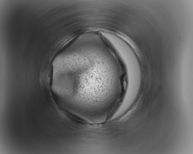 X0000088700809200706282022