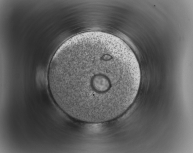 X0000088700810200706282022