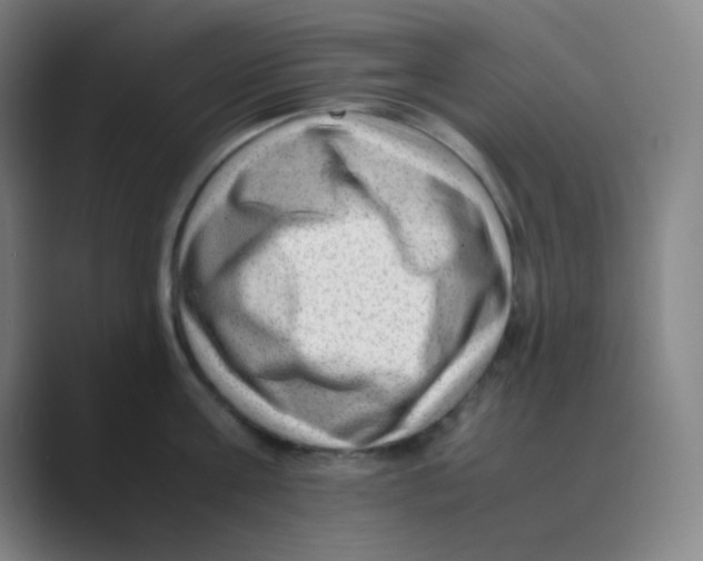 X0000088700811200706282022