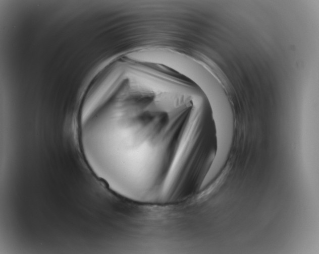 X0000088700812200706282022