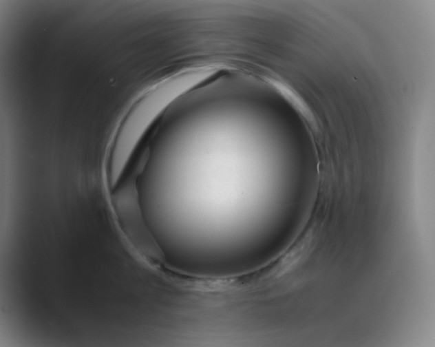 X0000088700813200706282022