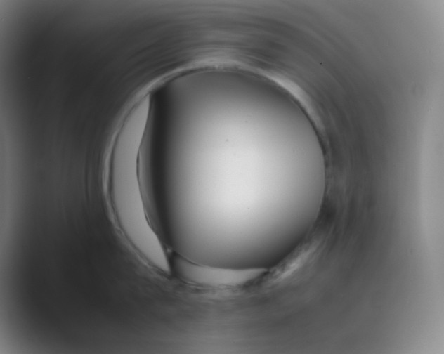 X0000088700815200706282022