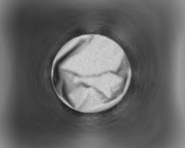 X0000088700817200706282021