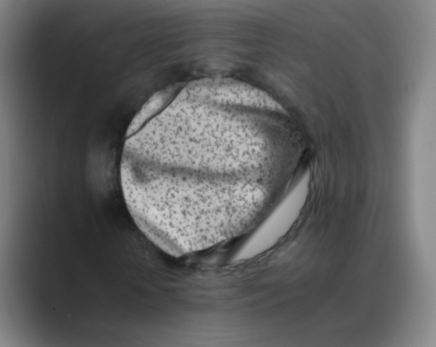 X0000088700818200706282021