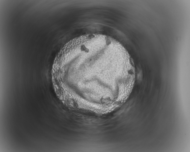 X0000088700819200706282021