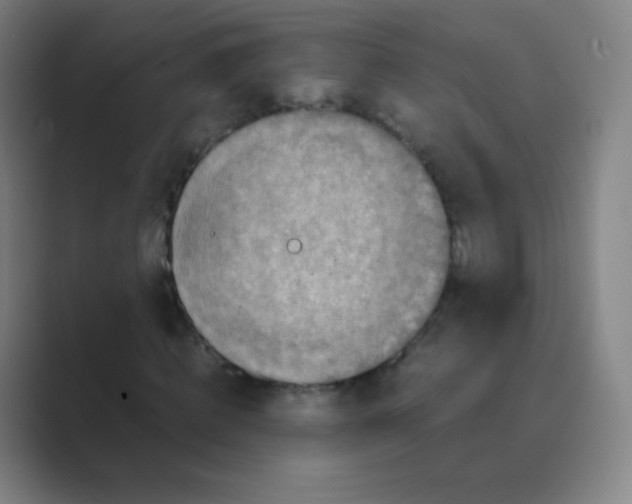 X0000088700820200706282021