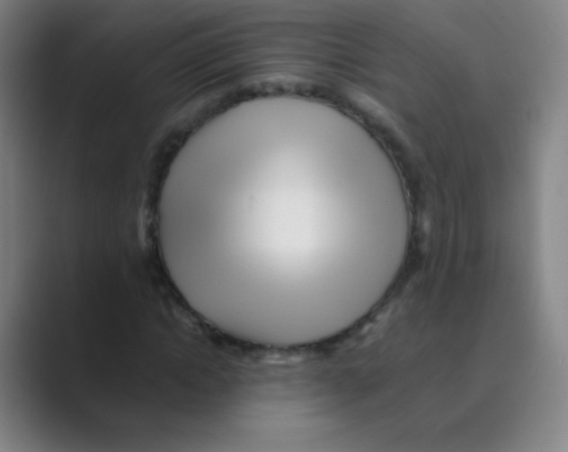 X0000088700822200706282021