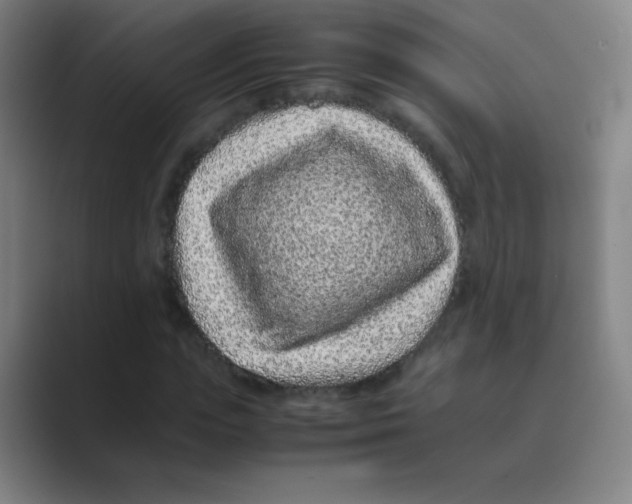 X0000088700823200706282021