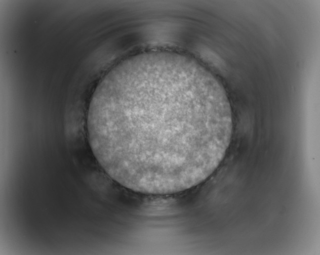 X0000088700824200706282021