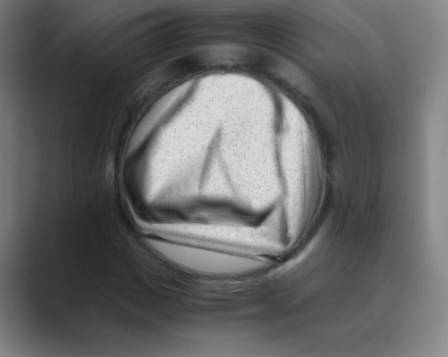 X0000088700825200706282021